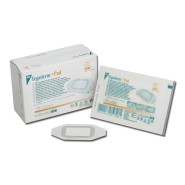 Transparent Film Dressing With Absorbent Pad